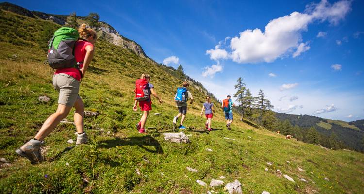 Een groep die een weelderig groen bergpad oploopt.