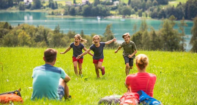 Kinderen die naar hun ouders rennen op een grasveld bij een meer.