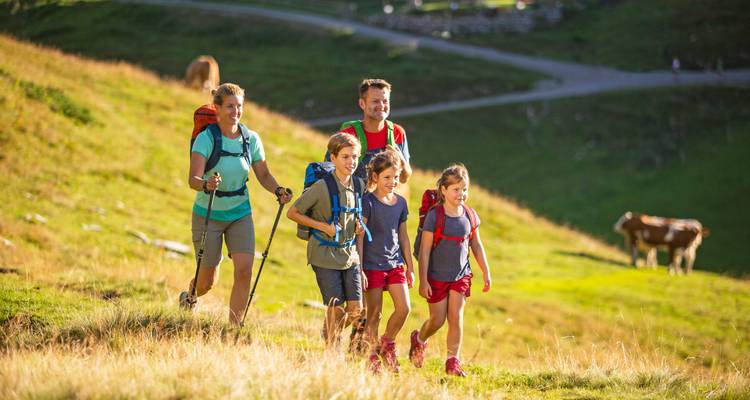 Een familie wandelt op een zonnig pad met koeien die in de buurt grazen.