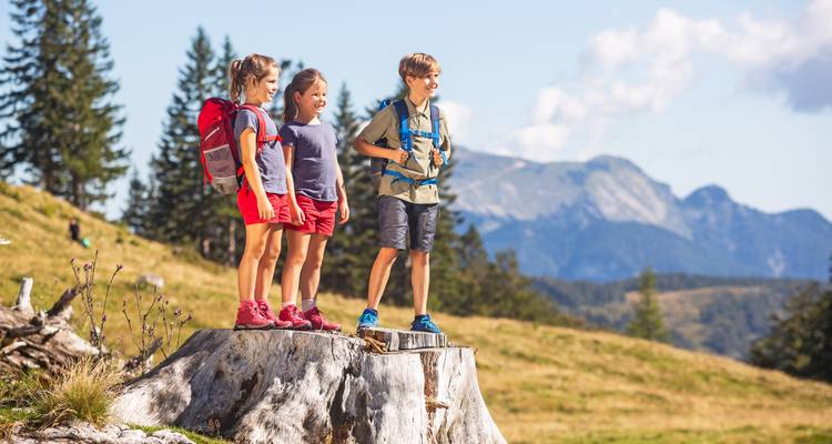 Kinderen die op een boomstronk staan en uitkijken over een berglandschap.