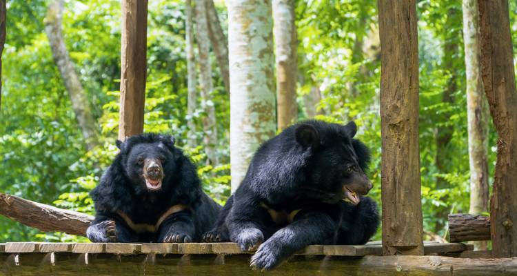 Laos Bucketlist: Unexplored Nature & Golden Temples - journaway DACH 4