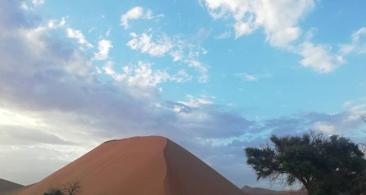 Route du Cap et de la Namibie - HoneyBadger Travel & Tours 6