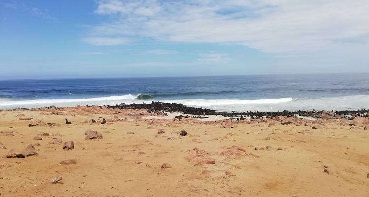 Route du Cap et de la Namibie - HoneyBadger Travel & Tours 8