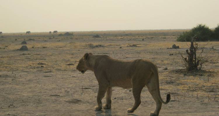 Route du Cap et de la Namibie - HoneyBadger Travel & Tours 10