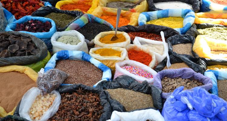 An Andean Adventure: From the Highlands to the Cloudforest - Authentic Ecuador 6