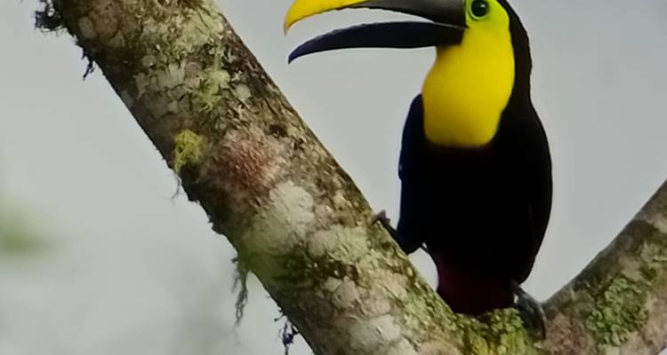 An Andean Adventure: From the Highlands to the Cloudforest - Authentic Ecuador 7