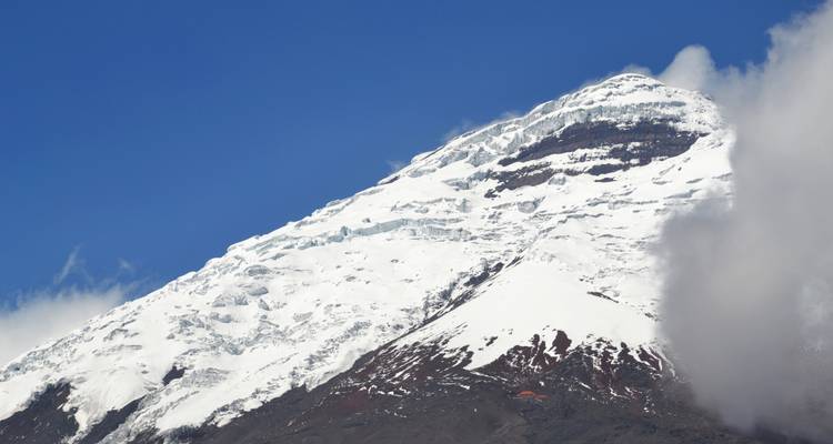 An Andean Adventure: From the Highlands to the Cloudforest - Authentic Ecuador 9