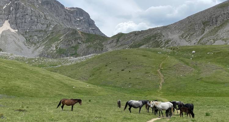 Zagori at your pace Trail - Monopati Hike n Bike 10