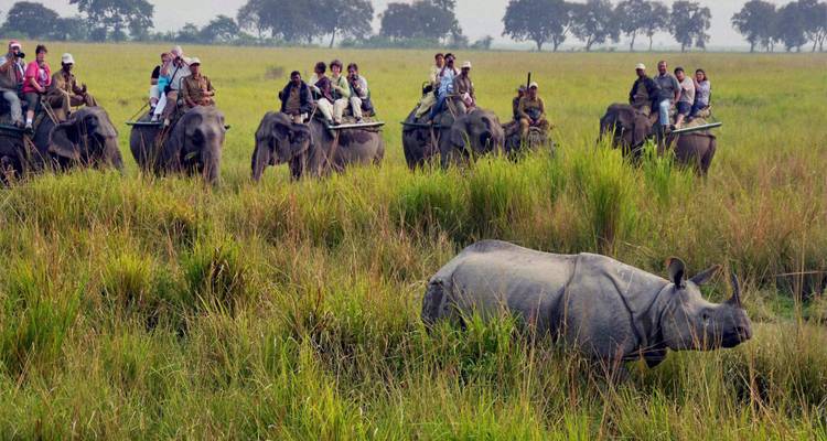 Luxury India with Nepal - Golden Triangle India Tours 2