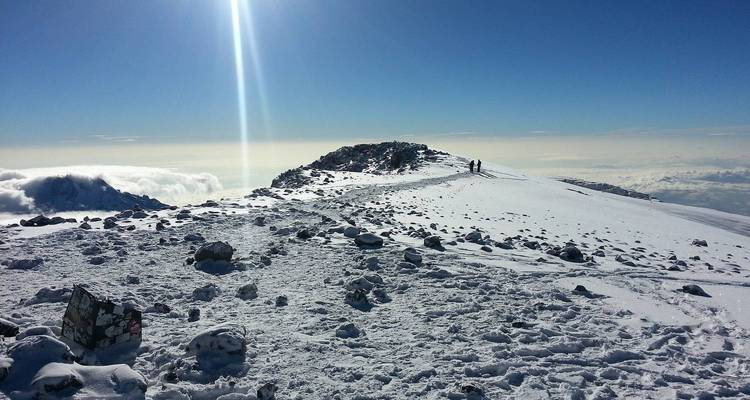 Mt Kilimanjaro Trek - Lemosho Route - Kilimanjaro Wonders Expedition Safari 3
