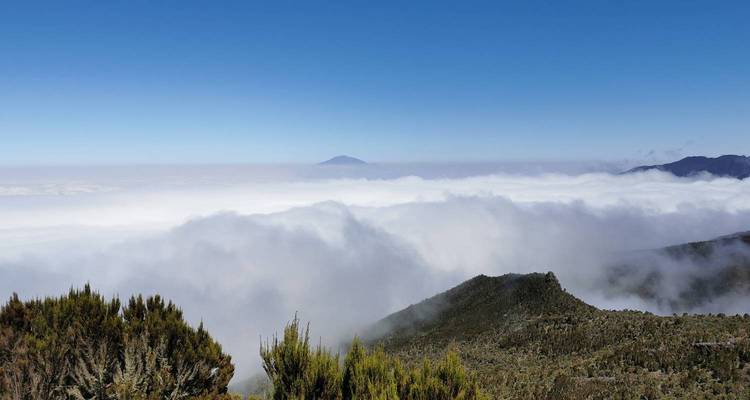 Trekking au Kilimandjaro - Itinéraire Rongai - Kilimanjaro Wonders Expedition Safari 4