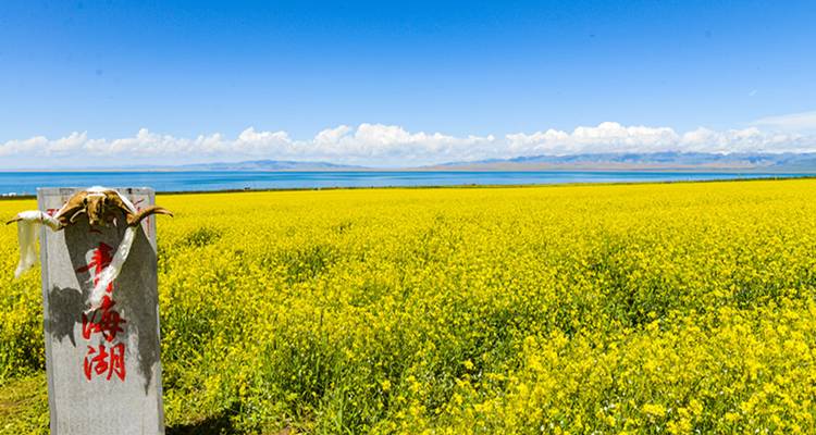 Silk Road 10D Group Tour: Xining, Chaka, Golmud, Dunhuang, Jiayuguan, Zhangye, Xining - Top China Travel 4