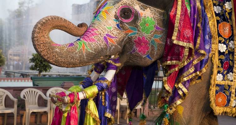 Triángulo de Oro de lujo desde Bombay - Golden Triangle India Tours 9