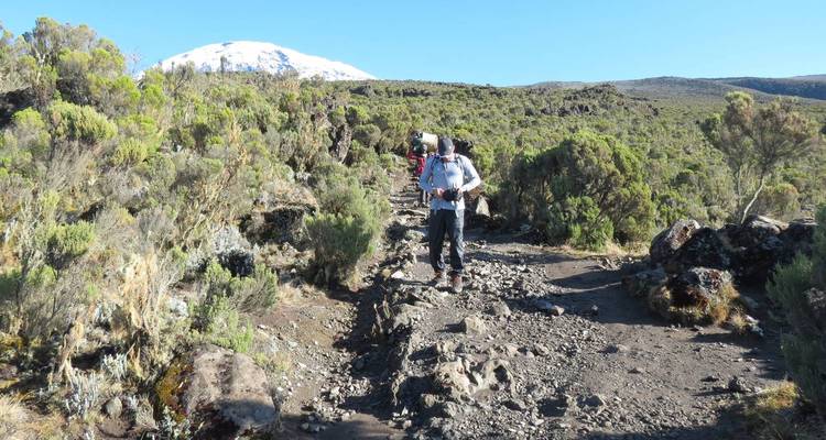 7 Day Grand Tanzania Safari - Kilimanjaro Wonders Expedition Safari 4