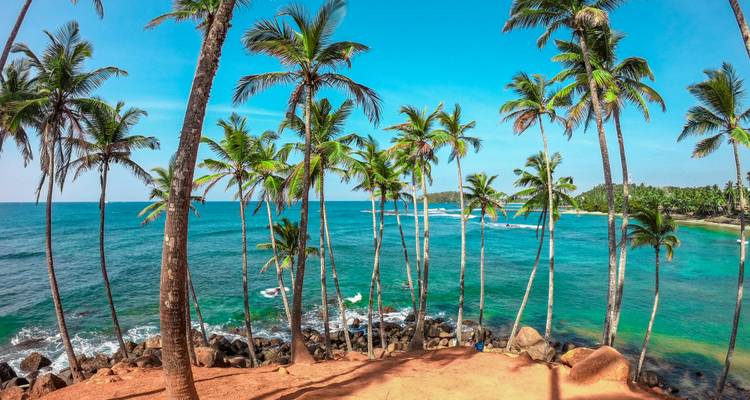 Aventura en Sri Lanka: ¡tren, surf y safari! - Indy Escapes 1