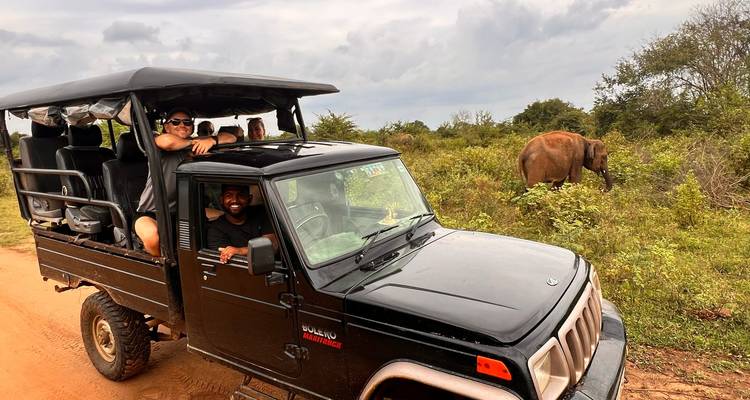 Aventura en Sri Lanka: ¡tren, surf y safari! - Indy Escapes 2