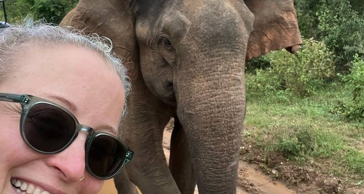 Aventura en Sri Lanka: ¡tren, surf y safari! - Indy Escapes 3