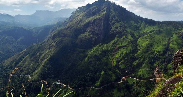 Aventura en Sri Lanka: ¡tren, surf y safari! - Indy Escapes 8