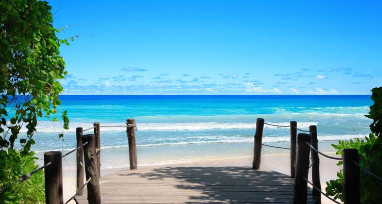 Una vista serena de la playa con un sendero de madera que conduce al océano.