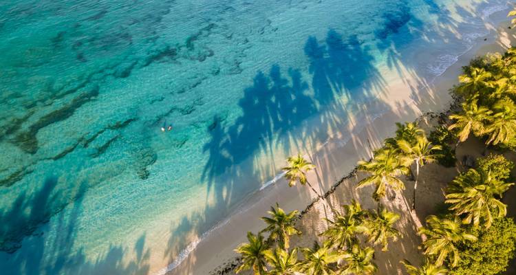 Vista aérea de una playa tropical con aguas cristalinas color turquesa y palmeras.