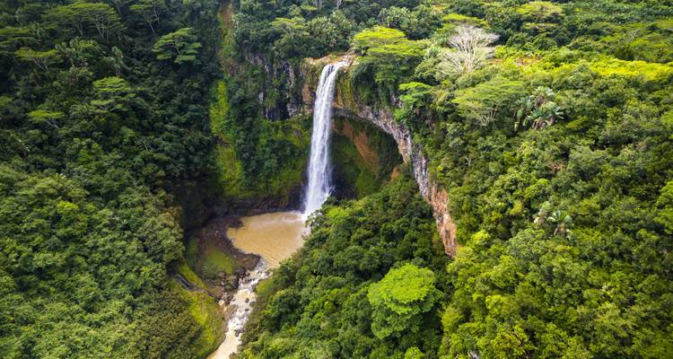 Una cascada impresionante rodeada de un exuberante bosque verde.