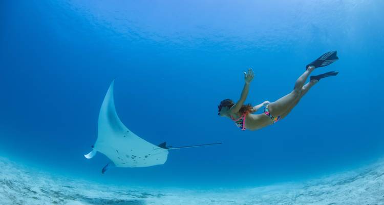 Island Hopping Indonesia: Manta Rays & Hidden Gems - journaway 3