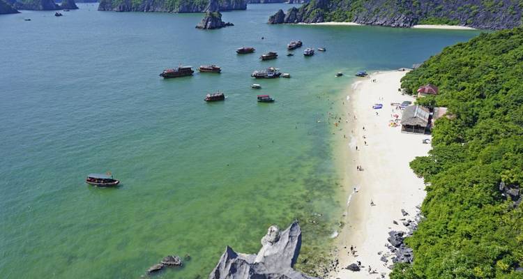 Sur les traces des primates : Les trésors cachés de la jungle vietnamienne - DIAMIR Erlebnisreisen 1