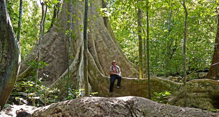 Sur les traces des primates : Les trésors cachés de la jungle vietnamienne - DIAMIR Erlebnisreisen 4
