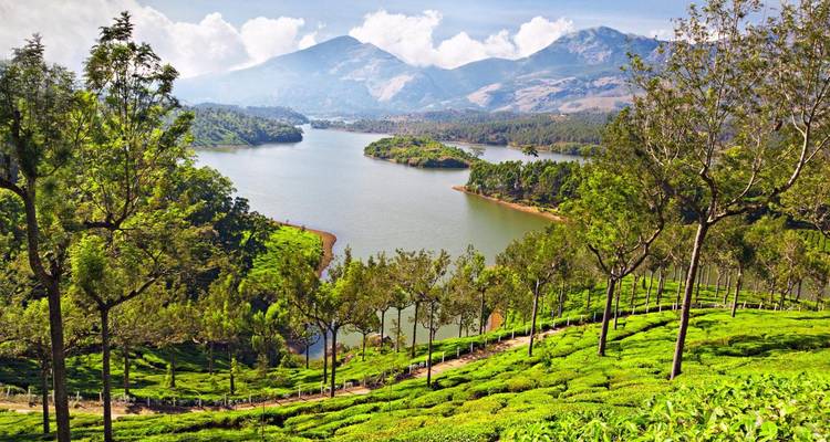 Introducción al lujo en Kerala - Golden Triangle India Tours 1