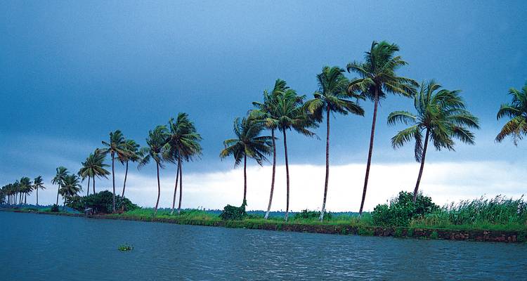 Introducción al lujo en Kerala - Golden Triangle India Tours 7