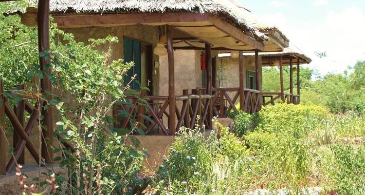Big Five Classic Safari in Tanzania - LOVE AFRICA TRAVEL COMPANY 6