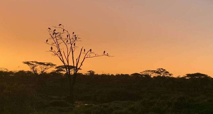 Big Five Classic Safari in Tanzania - LOVE AFRICA TRAVEL COMPANY 7
