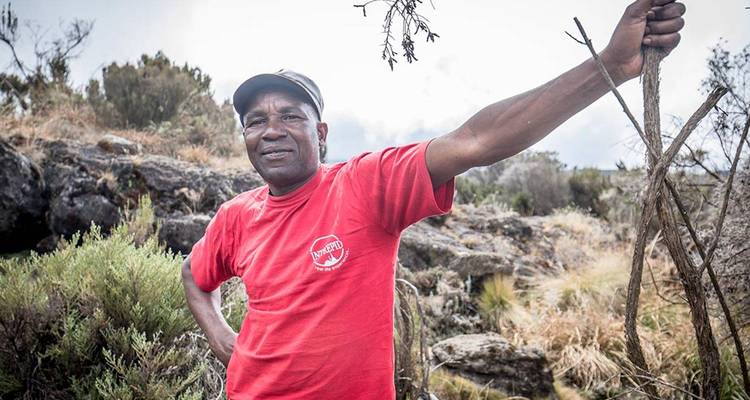 Ruta de Marangu de 5 días por el Kilimanjaro - Kilimanjaro Wonders Expedition Safari 9