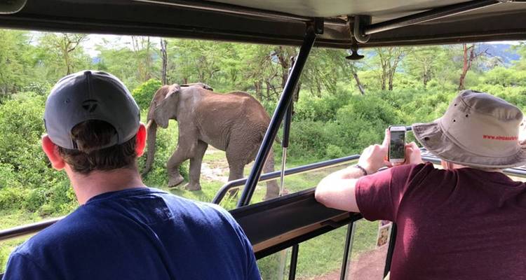 Touristen fotografieren einen Elefanten aus einem Safarifahrzeug.