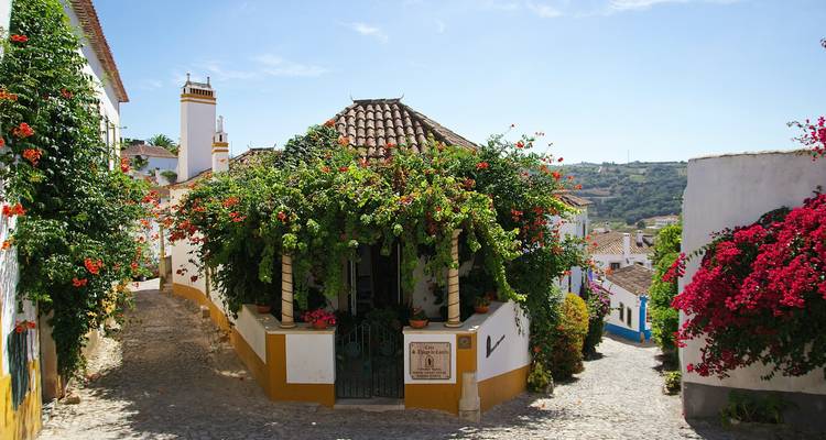 Sunny Portugal with Porto  (Porto to Lisbon) - Collette 6