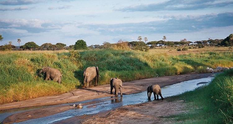 Safari de 5 días al Serengeti, Ngorongoro y Manyara - Kilimanjaro Wonders Expedition Safari 2