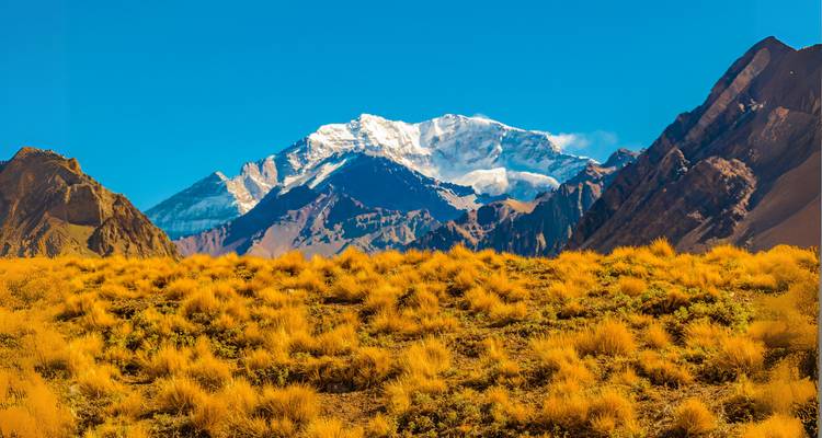 7 días Argentina: De Buenos Aires a la región vinícola de Mendoza - Responsible Travel South America 10