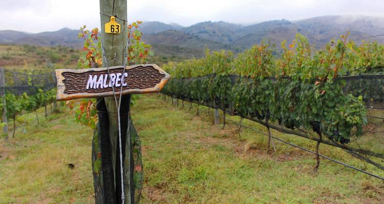 7 jours en Argentine : de Buenos Aires à la région viticole de Mendoza - Responsible Travel South America 3