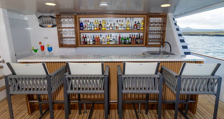 Bar area with assorted drinks and stools on a boat.