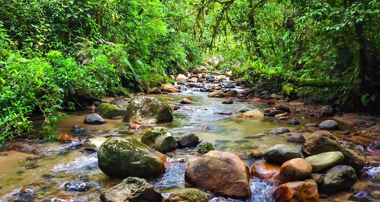 Tailor-made Brazil Amazon Rainforest Adventure, Daily Start - Agate Travel 4