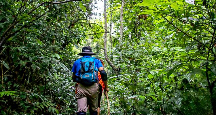 Tailor-made Brazil Amazon Rainforest Adventure, Daily Start - Agate Travel 6