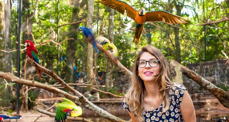 Eine lächelnde Frau in einem Dschungel-Vogelpark beobachtet leuchtend bunte Aras und Papageien, die zwischen dichtem tropischem Blattwerk vorbeifliegen.