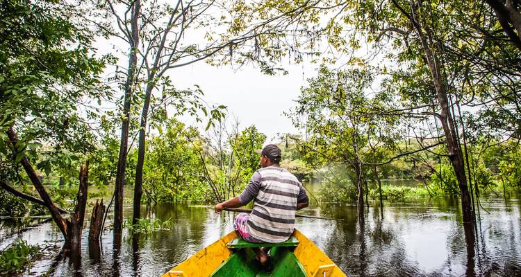 Ein einsamer Paddler steuert ein kleines grün-gelbes Kanu durch den überfluteten Amazonas-Regenwald, umgeben von teilweise unter Wasser stehenden Bäumen.
