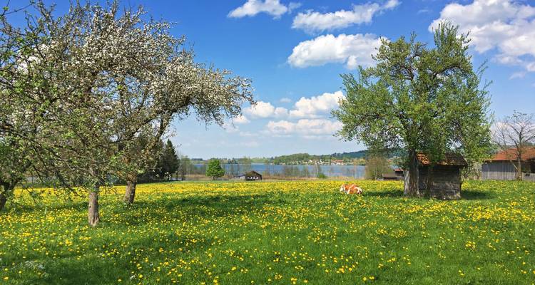 Del lago de Starnberg a Garmisch - Eurohike 7