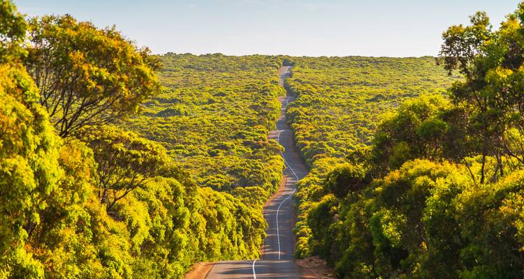 Roadtrip en Australie du Sud : Great Ocean Road & Golden Hours (7 destinations) - journaway 5