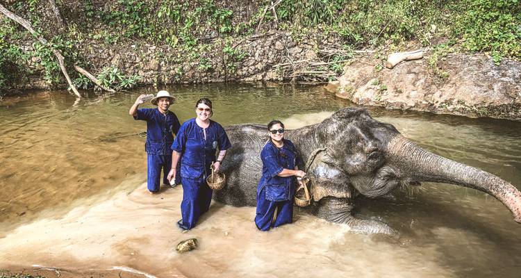 Thailand - Islands, Jungles, & Street Food Adventures (ages 21–35) - Under30Experiences 4