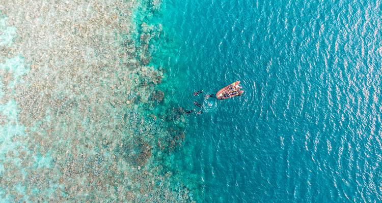 Australia: Beaches and Reefs (Without Sailing) - Contiki 1