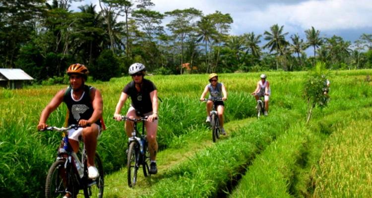 10 jours Borobudur (guide et chauffeur privés）) - UME Travel Co. Ltd 8