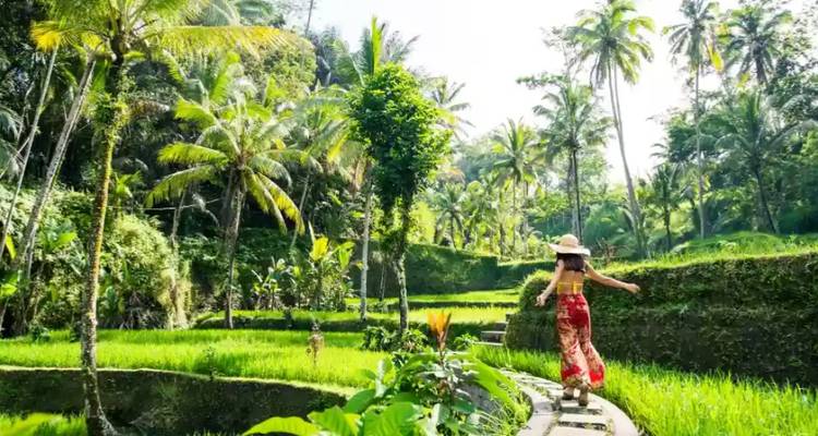 10 jours Borobudur (guide et chauffeur privés）) - UME Travel Co. Ltd 10