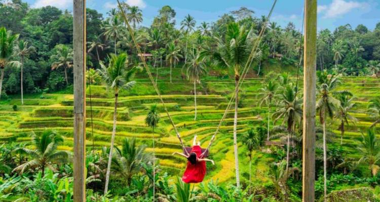 7 jours Bali Natural & Cultural (guide privé et chauffeur）) - UME Travel Co. Ltd 3